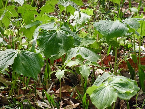 f0187402_22282037.jpg