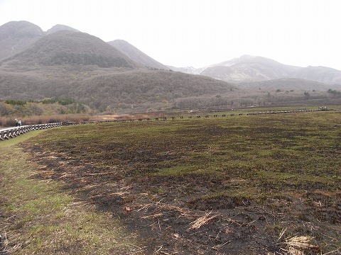 f0187402_2228451.jpg