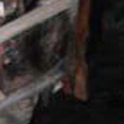 e0103408_13122814.jpg