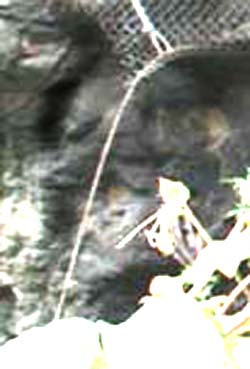 e0103408_13131639.jpg