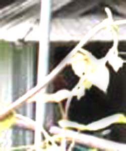 e0103408_13134673.jpg