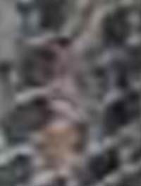 e0103408_13142720.jpg