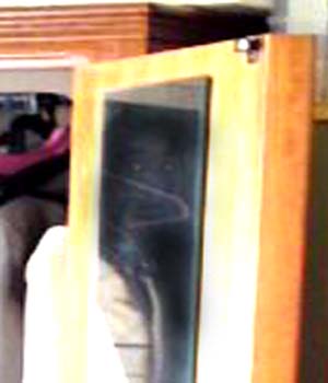 e0103408_1661181.jpg