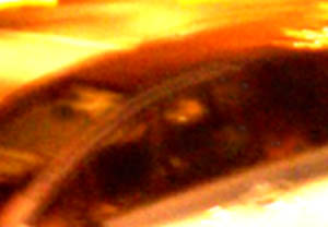 e0103408_2581066.jpg