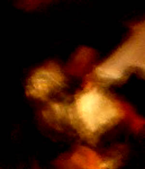 e0103408_258345.jpg