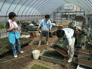f0127408_1931729.jpg