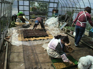 f0127408_193176.jpg