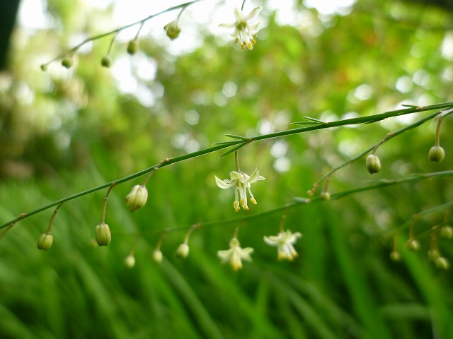 d0037110_22361386.jpg