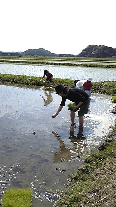 f0105810_2358496.jpg