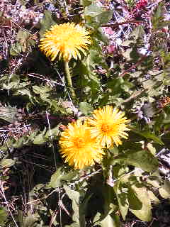 c0029913_10321535.jpg