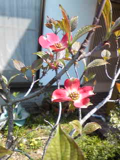 c0029913_10321557.jpg