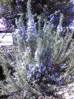 c0029913_10321584.jpg
