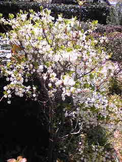 c0029913_10321591.jpg