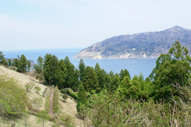 b0053414_22424345.jpg