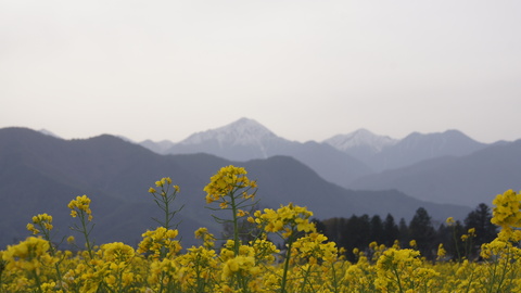 f0233414_2303230.jpg