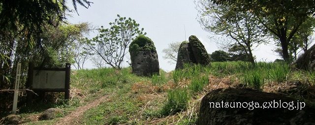 b0141916_2014779.jpg