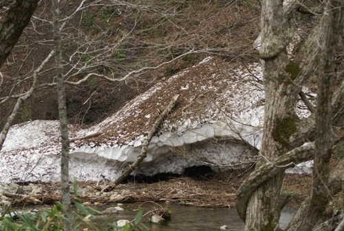 c0042418_843016.jpg