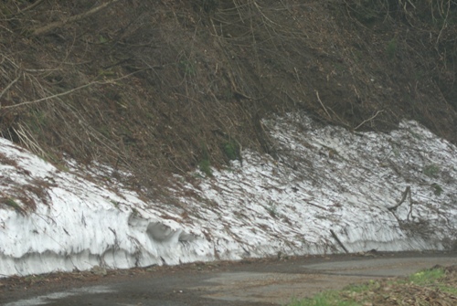 c0042418_8431531.jpg