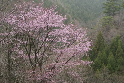 c0042418_845273.jpg