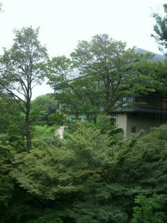 f0106823_12124869.jpg