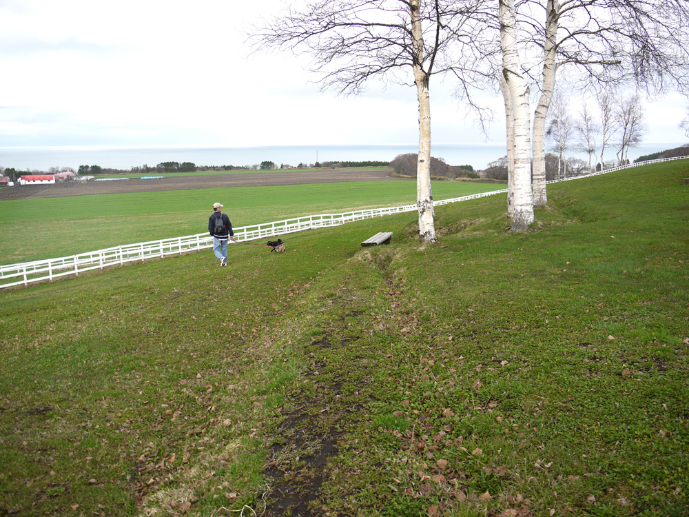 d0161525_1513965.jpg