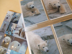 c0188928_22211729.jpg