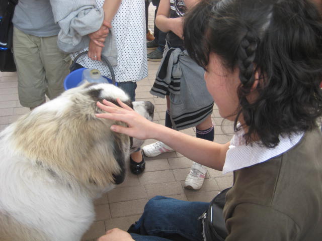 e0166032_2146959.jpg