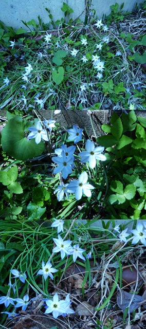 d0037233_1426496.jpg