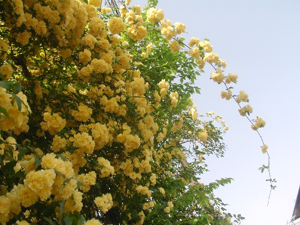 f0002833_23153865.jpg
