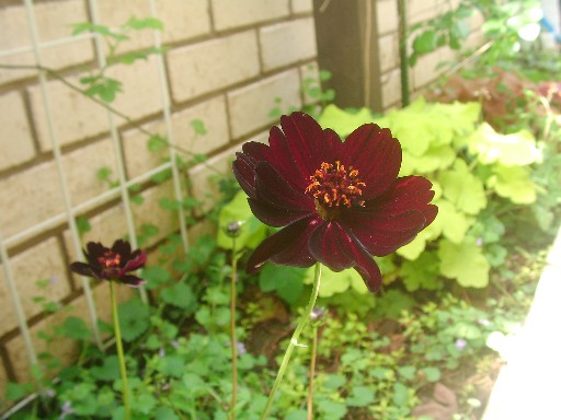 f0002833_23164859.jpg