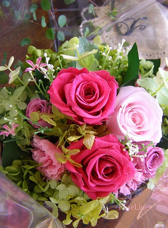 f0238135_8123837.jpg