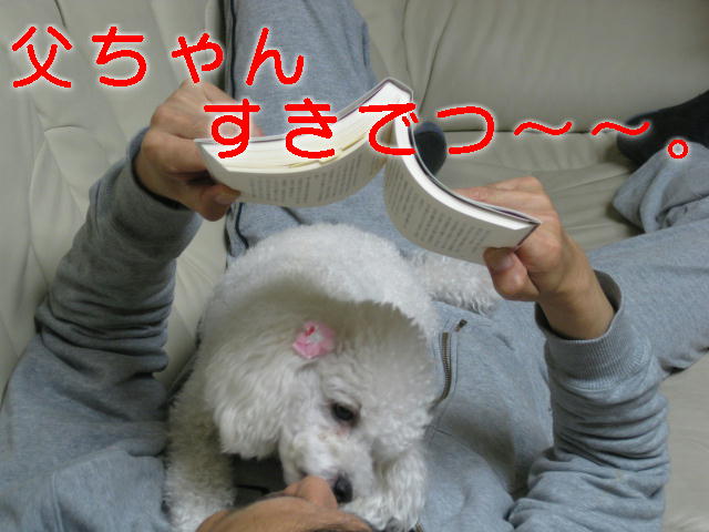 c0117239_8351622.jpg