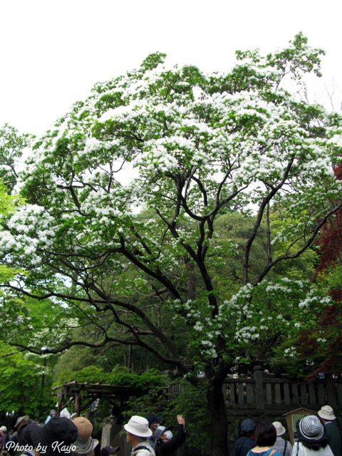 a0117440_21365289.jpg