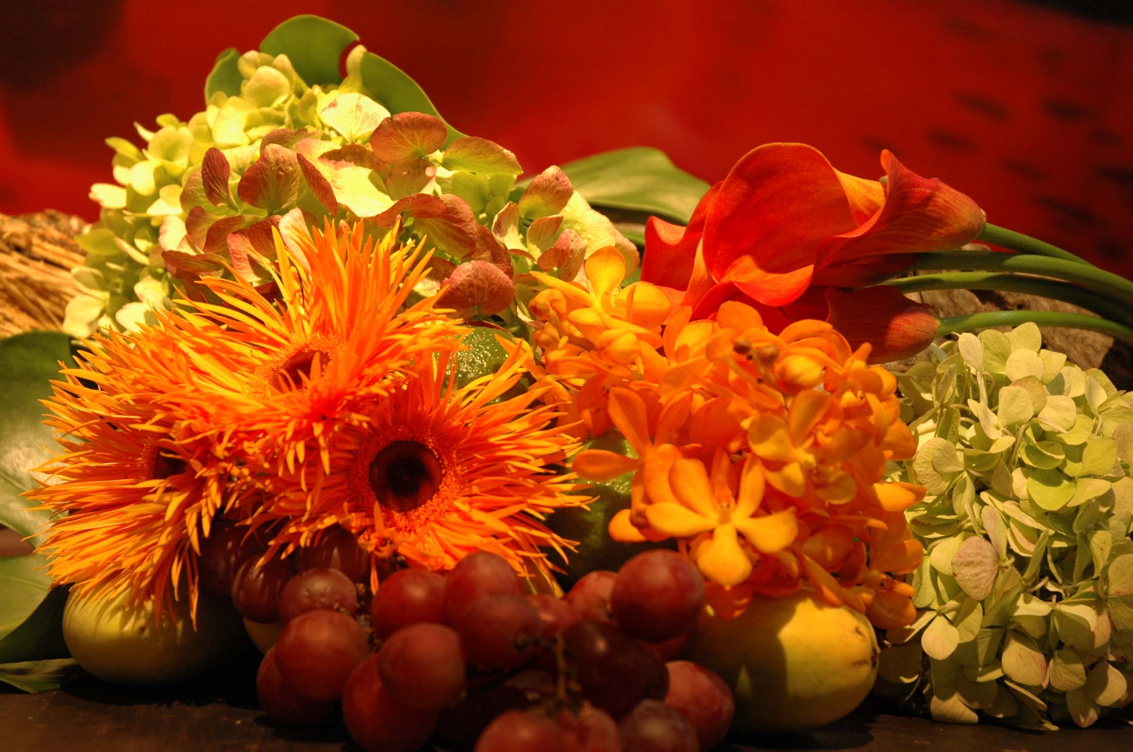 a0060141_21101999.jpg