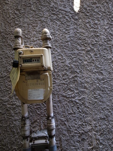 a0087341_726736.jpg