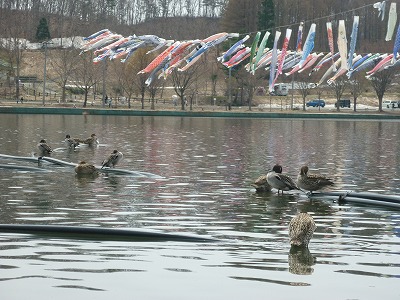 e0131541_524394.jpg