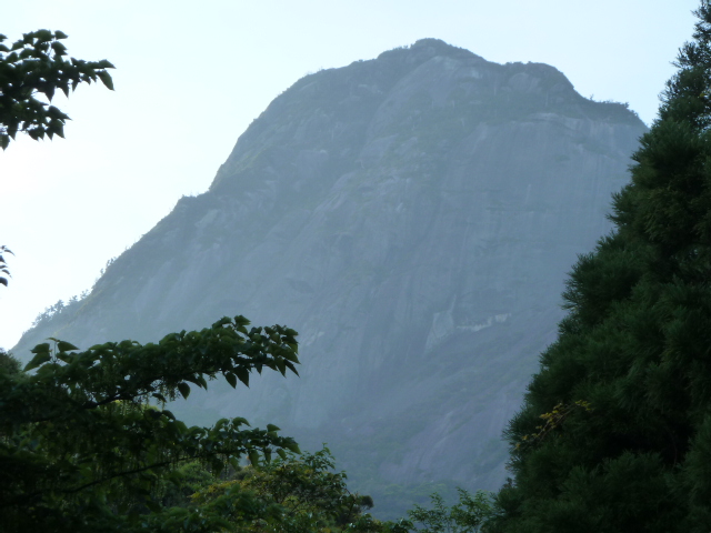 b0190242_14421745.jpg