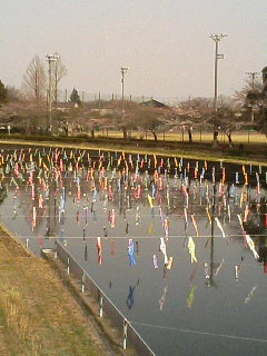 f0192348_23181036.jpg