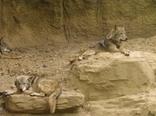 a0068350_1882650.jpg
