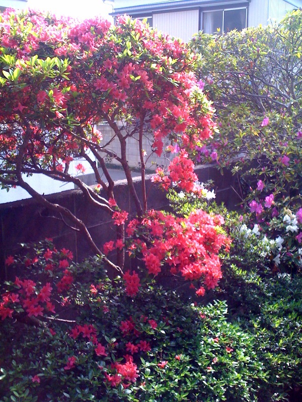 e0026053_14273957.jpg