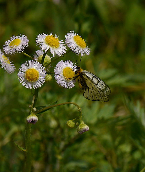 d0091754_4154328.jpg