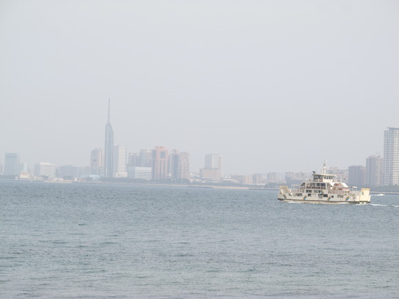 f0201157_1616146.jpg