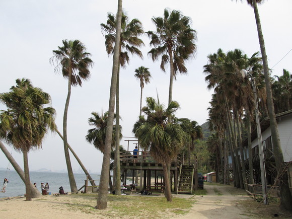 f0201157_1617633.jpg