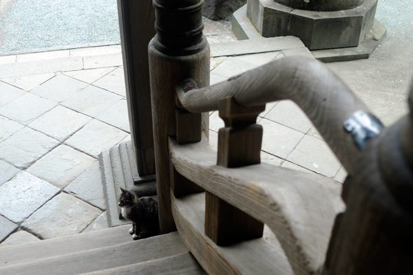 f0176458_20112371.jpg