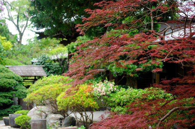 f0176458_201820100.jpg