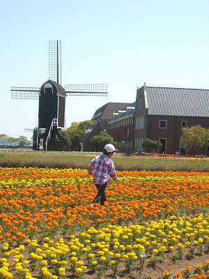 d0078060_20362158.jpg