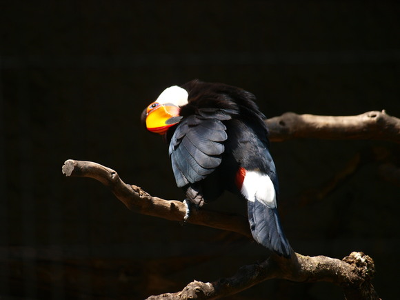 f0213960_21202446.jpg