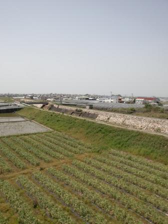 c0172261_22415145.jpg