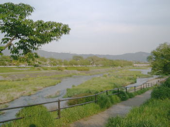 a0085663_13212957.jpg