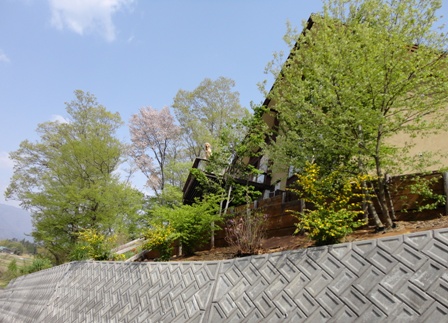 d0152765_21121270.jpg